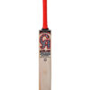 CA 15000 Player Edition 7 Star Cricket Bat