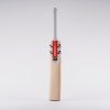 Gray-Nicolls Alpha Gen 3 Star 1.0 Cricket Bat