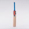 Gray-Nicolls Vapour Gen 1.0 150 Junior Cricket Bat